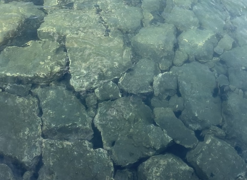 能登島の海